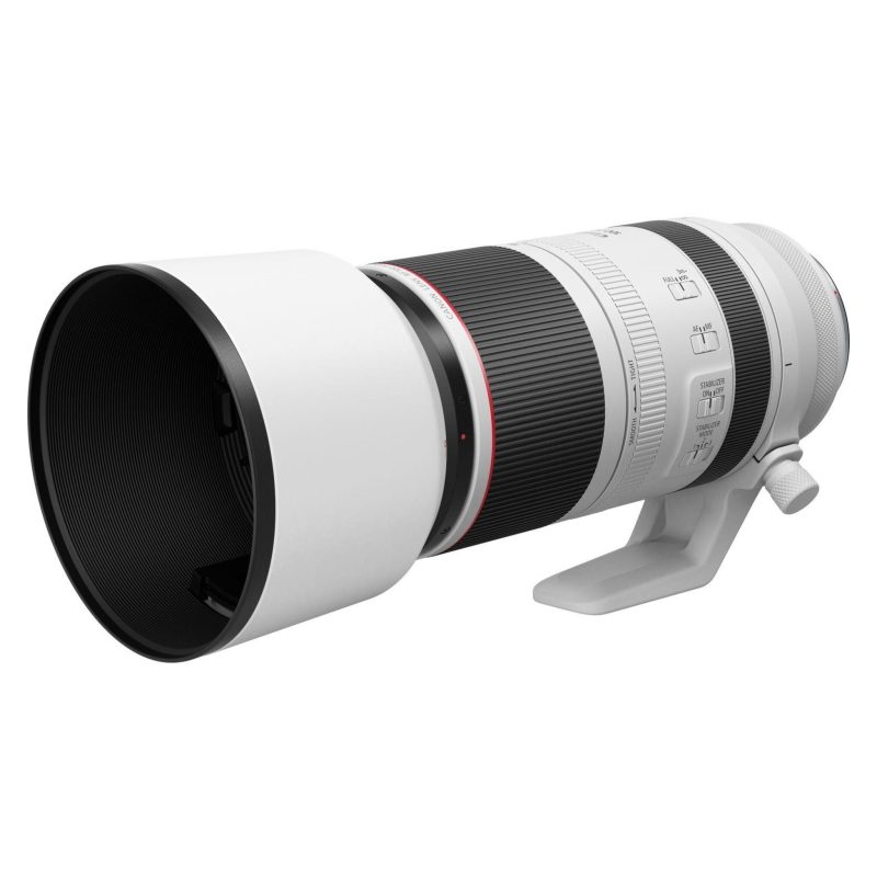 Canon RF 100-500mm f/4.5-7.1 L IS USM - immagine 5