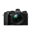 Olympus OM System OM-5 + 14-150mm f/4.0-5.6 ED II Nero