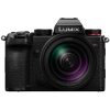Panasonic Lumix S5D + 28-200mm f/4-7.1 Macro