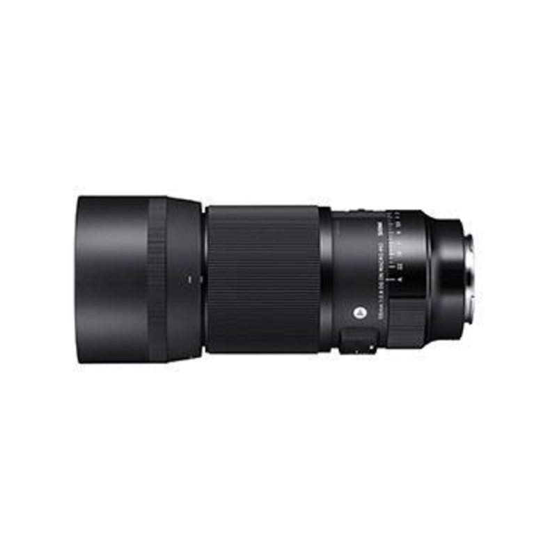 Sigma 105mm f/2.8 DG DN Macro Art Sony E-Mount - immagine 3