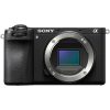 Sony Alpha 6700 + SEL 18-135mm f/3.5-5.6 OSS - immagine 5