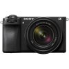 Sony Alpha 6700 + SEL 18-135mm f/3.5-5.6 OSS